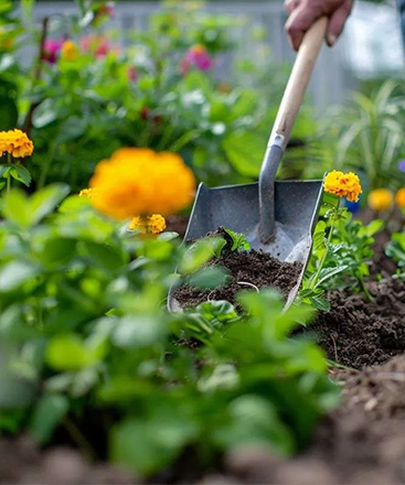 Garden maintenance services Geelong
